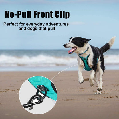 Reflective No-Pull Dog Harness with Adjustable Soft Padded Vest, Front & Back Leash Attachments, and Control Handle for Small to Large Dogs (Mint Blue, Medium)