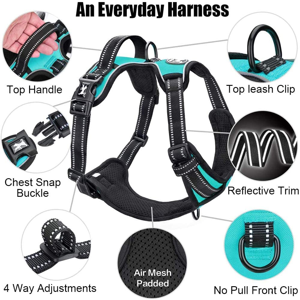 Reflective No-Pull Dog Harness with Adjustable Soft Padded Vest, Front & Back Leash Attachments, and Control Handle for Small to Large Dogs (Mint Blue, Medium)