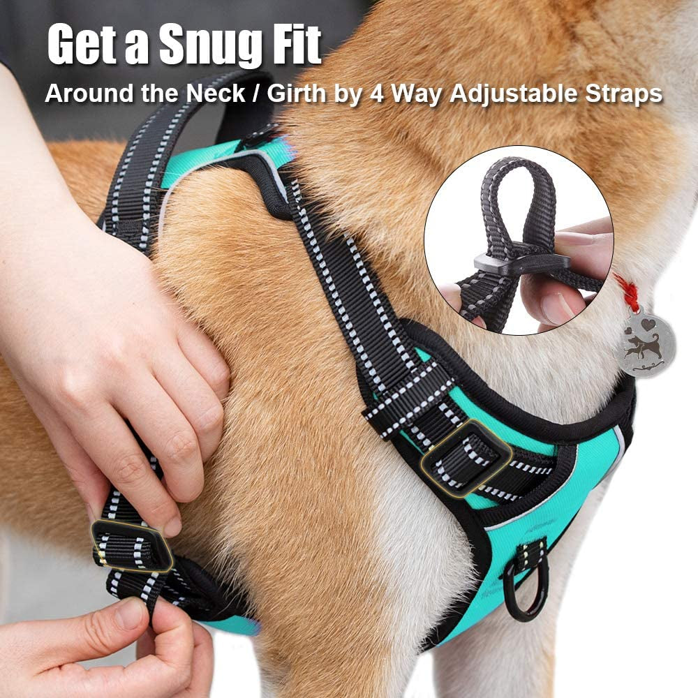 Reflective No-Pull Dog Harness with Adjustable Soft Padded Vest, Front & Back Leash Attachments, and Control Handle for Small to Large Dogs (Mint Blue, Medium)