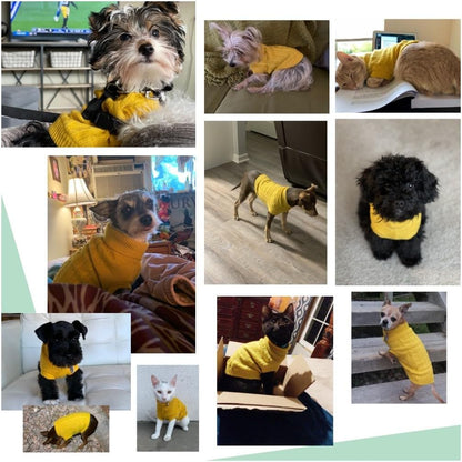 Knitted Winter Sweater for Small Dogs and Cats - Yellow