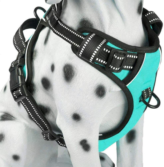 Reflective No-Pull Dog Harness with Adjustable Soft Padded Vest, Front & Back Leash Attachments, and Control Handle for Small to Large Dogs (Mint Blue, Medium)