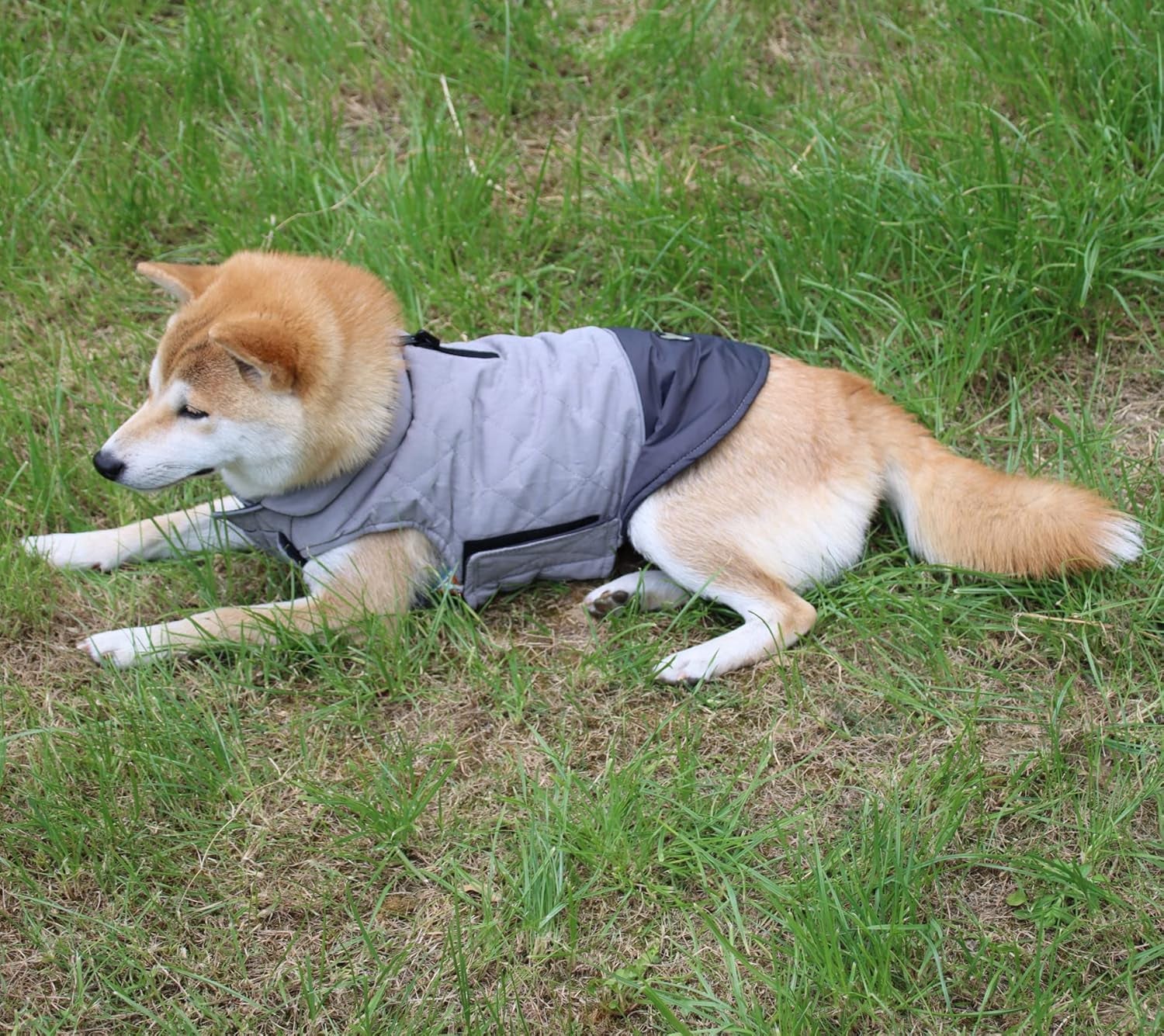 Reversible Waterproof Dog Coat for Small Breeds - Warm Winter Jacket in Grey, Size S