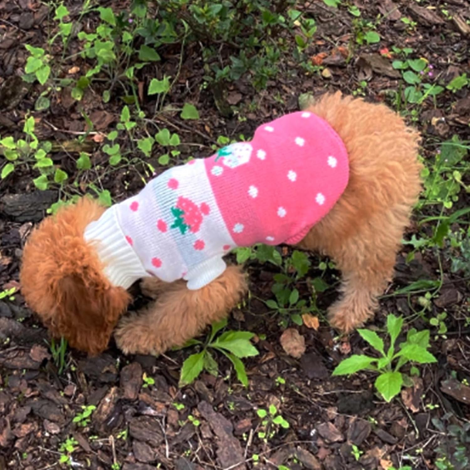 Classic Knit Turtleneck Dog Sweater for Winter - Cute Strawberry and Heart Design (Pink, Small)