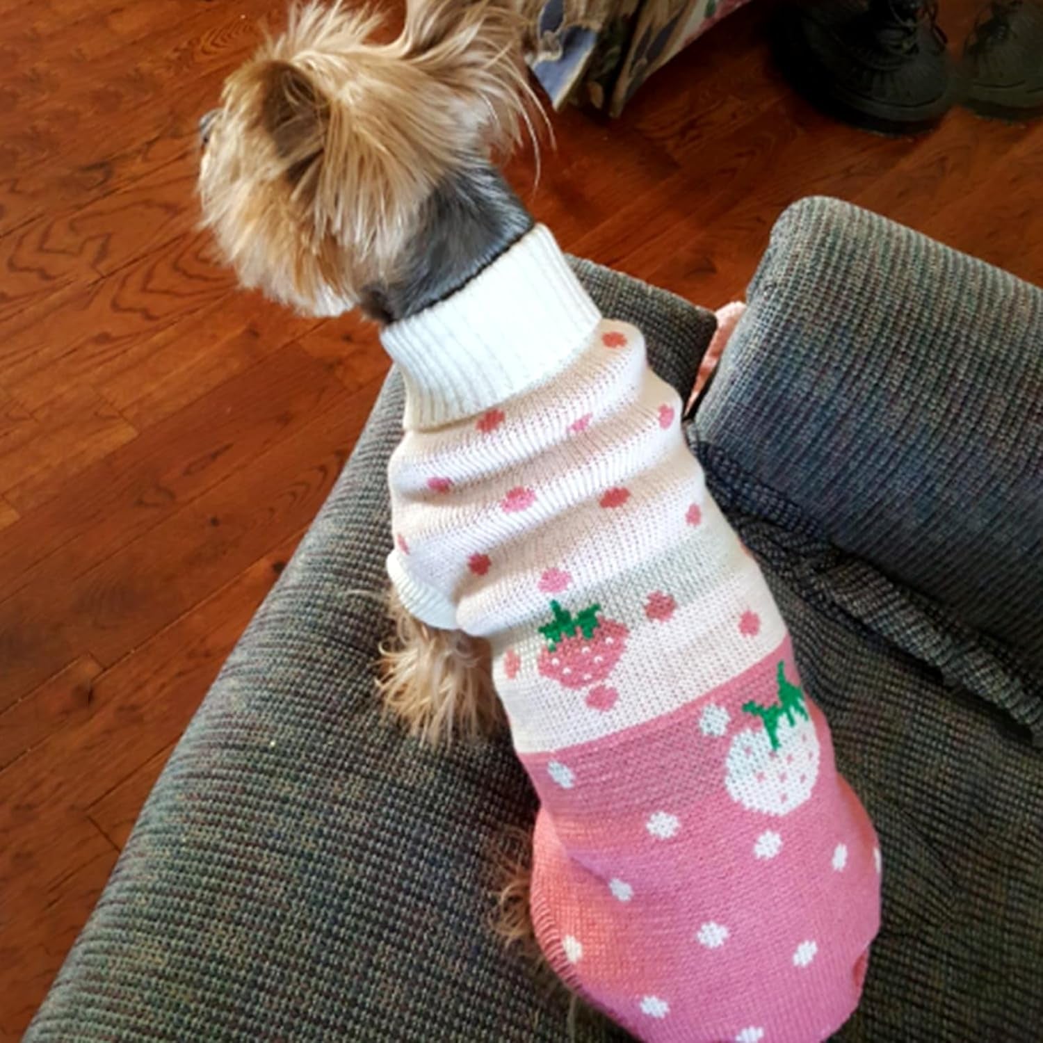 Classic Knit Turtleneck Dog Sweater for Winter - Cute Strawberry and Heart Design (Pink, Small)