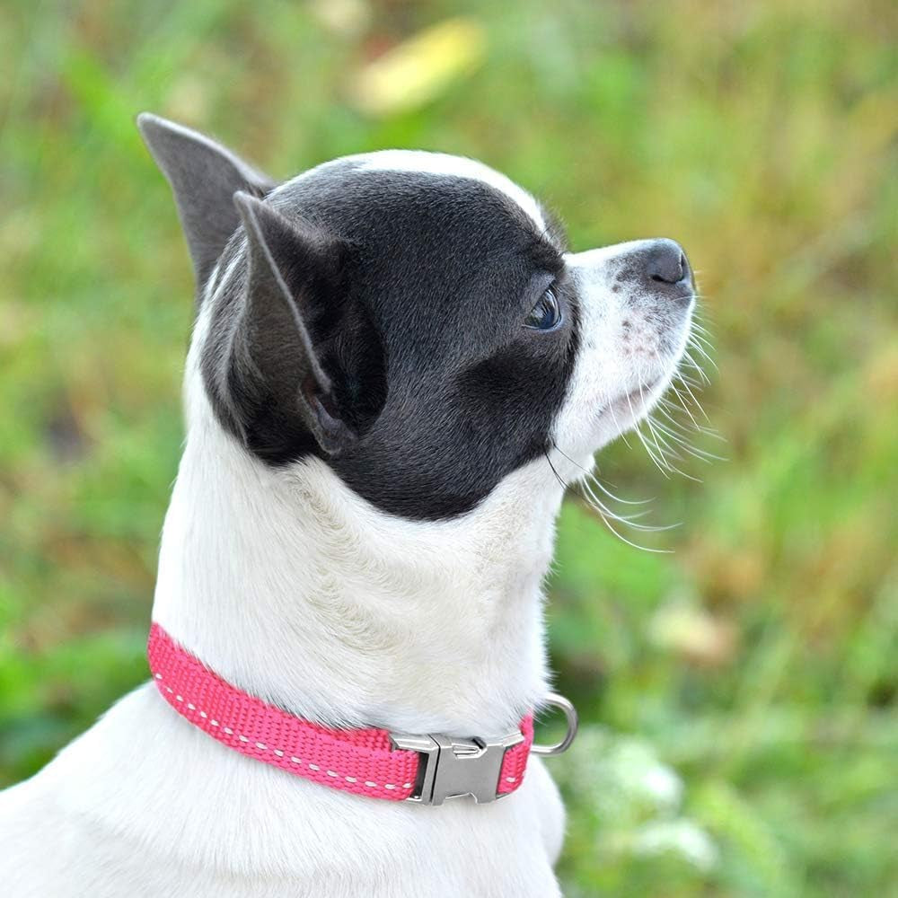 Adjustable Nylon Reflective Dog Collar for Small Breeds with Metal Buckle - Available in Black, Pink, Mint Green, Lime, Orange, Red, Purple, and Blue (Neck Size 7"-11", Lime Green)